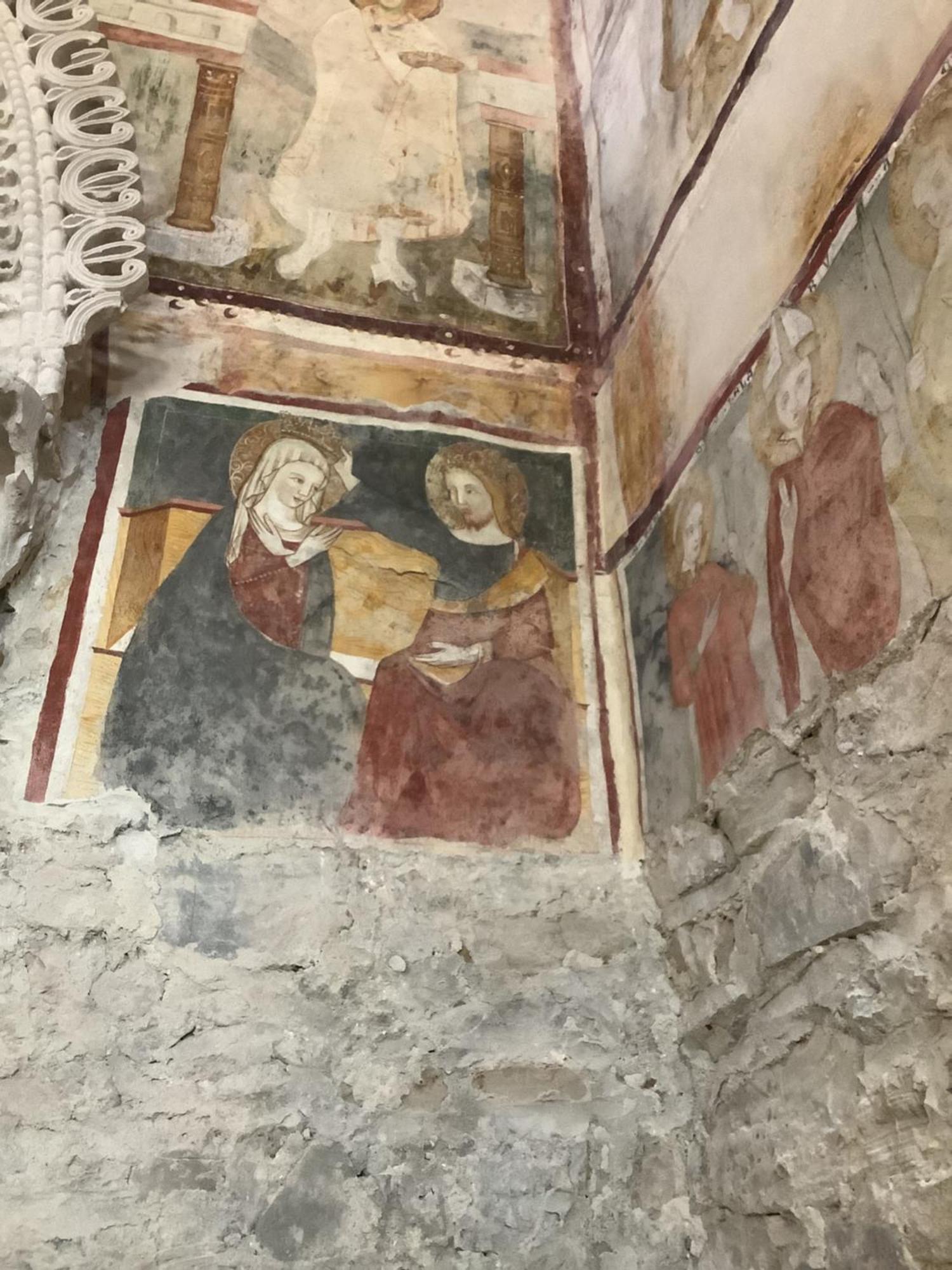 Il Riccio E Il Gufo Cepletischis