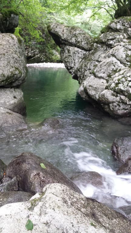 Gasthof Il Riccio E Il Gufo