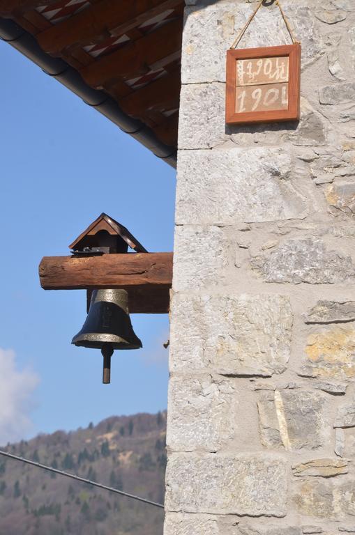Il Riccio E Il Gufo
