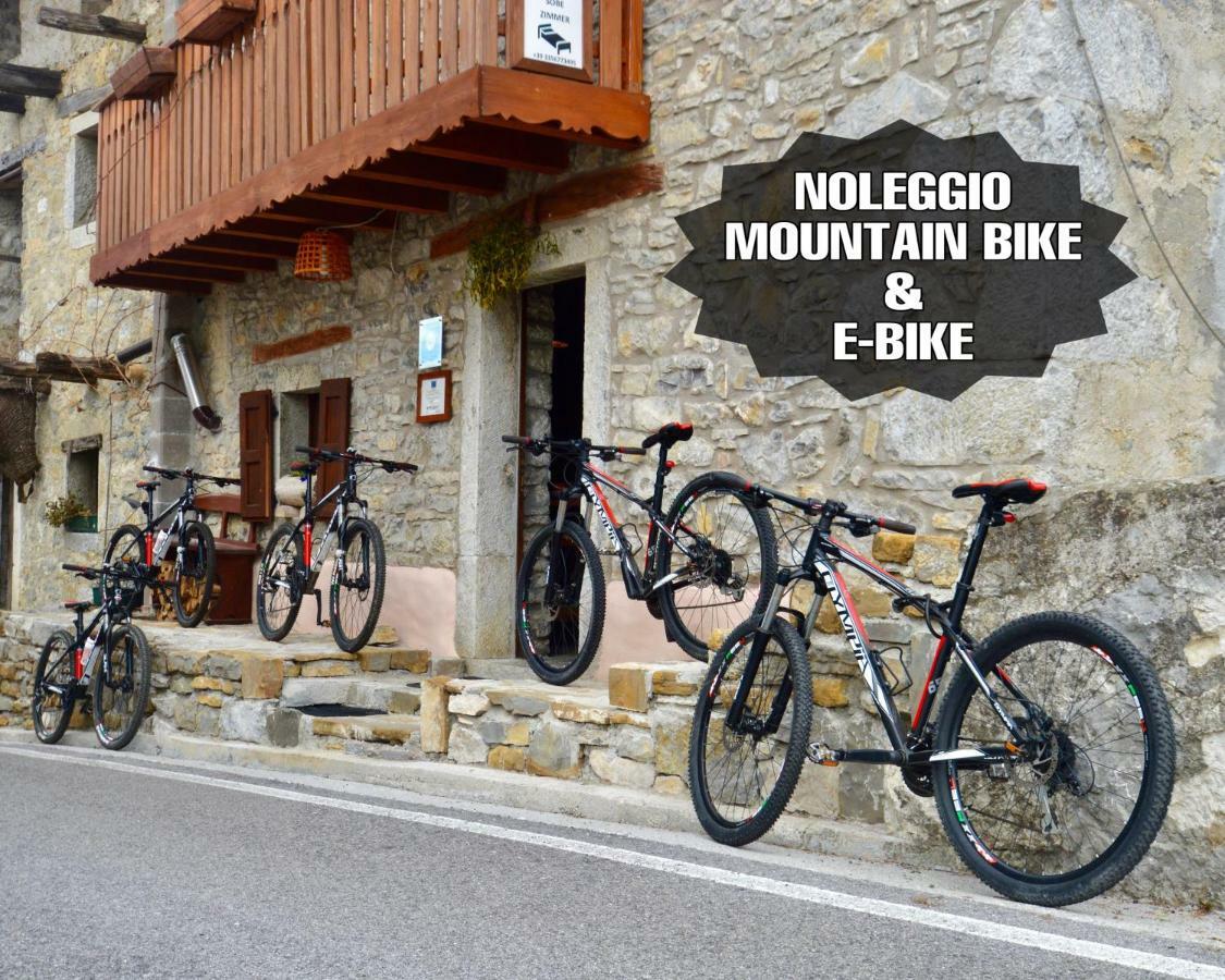 Maison d'hôtes Il Riccio E Il Gufo Cepletischis