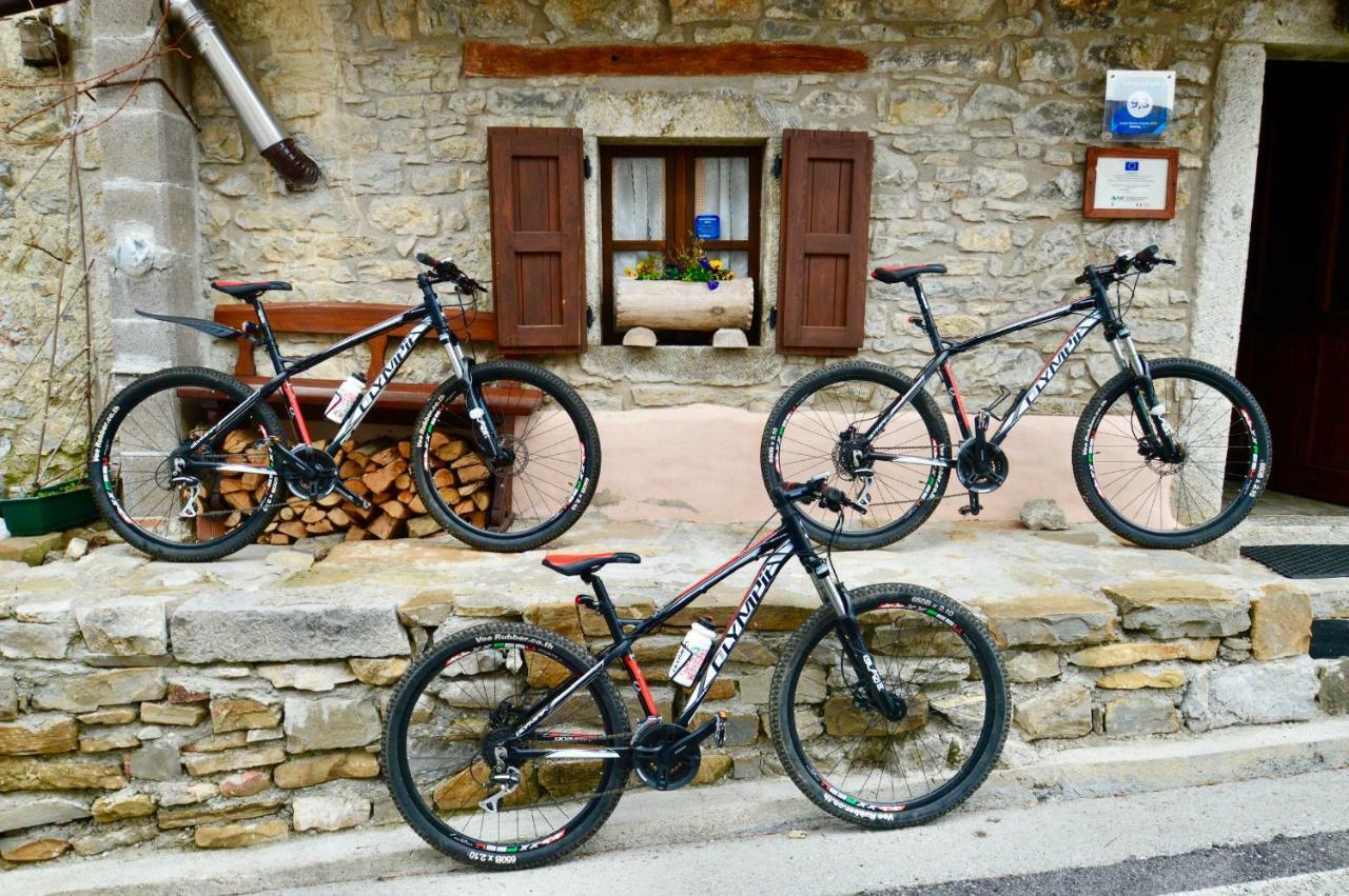 Il Riccio E Il Gufo Gasthof